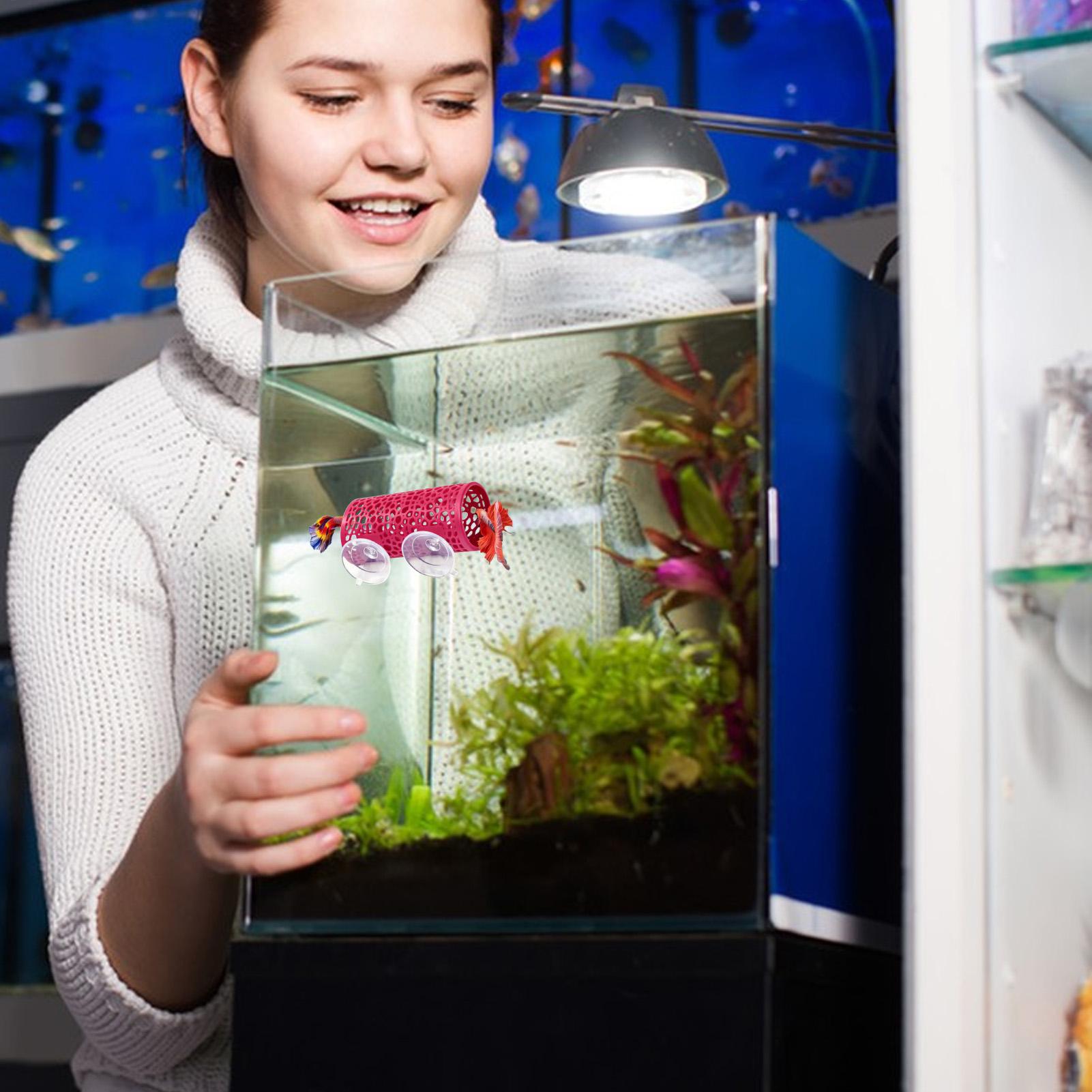 Aquarium Fish Betta - Habitat pour betta, abri de repos,