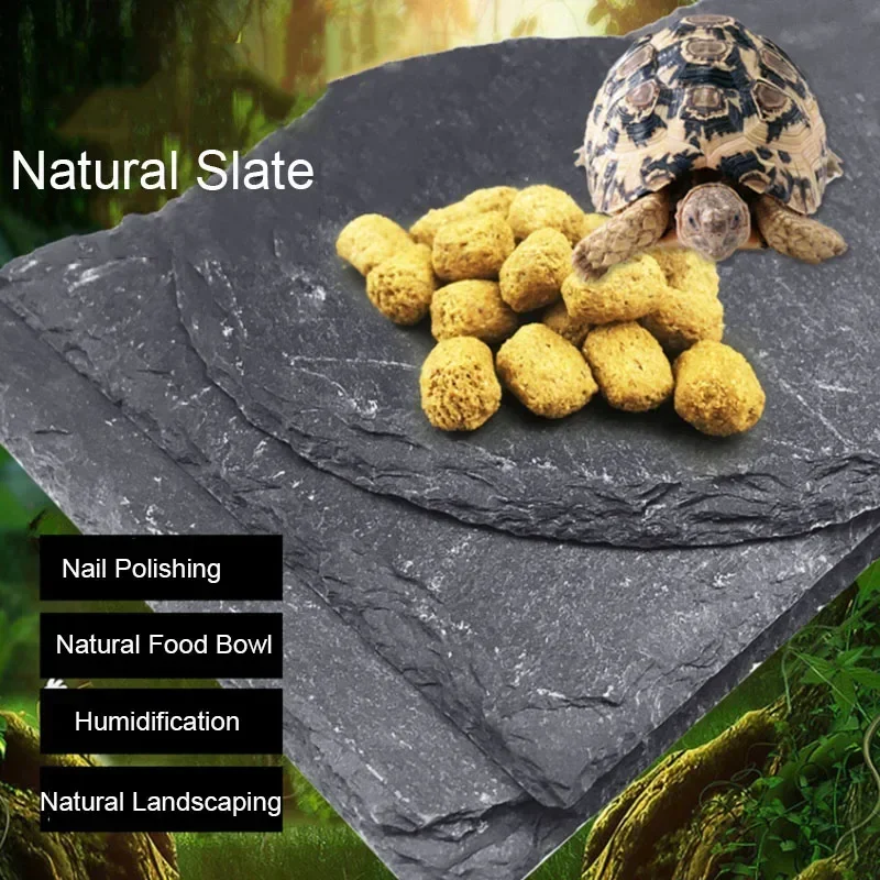 Aquarium Fish Feeder - Filles d'Aquarium en Ardoise Naturelle pour
