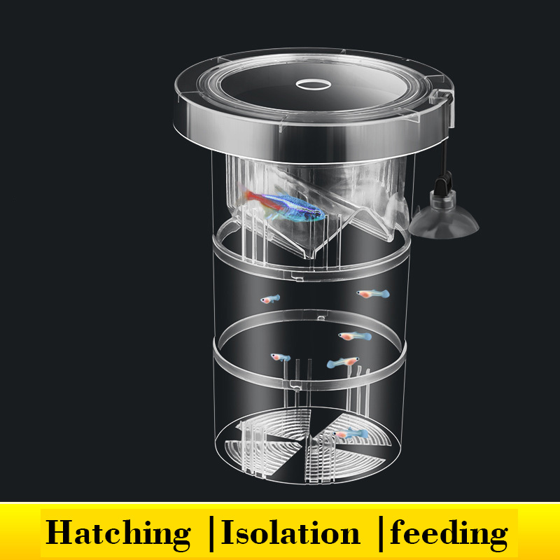 Aquarium Fish Betta - Boîte d'isolation flottante pour élevage de