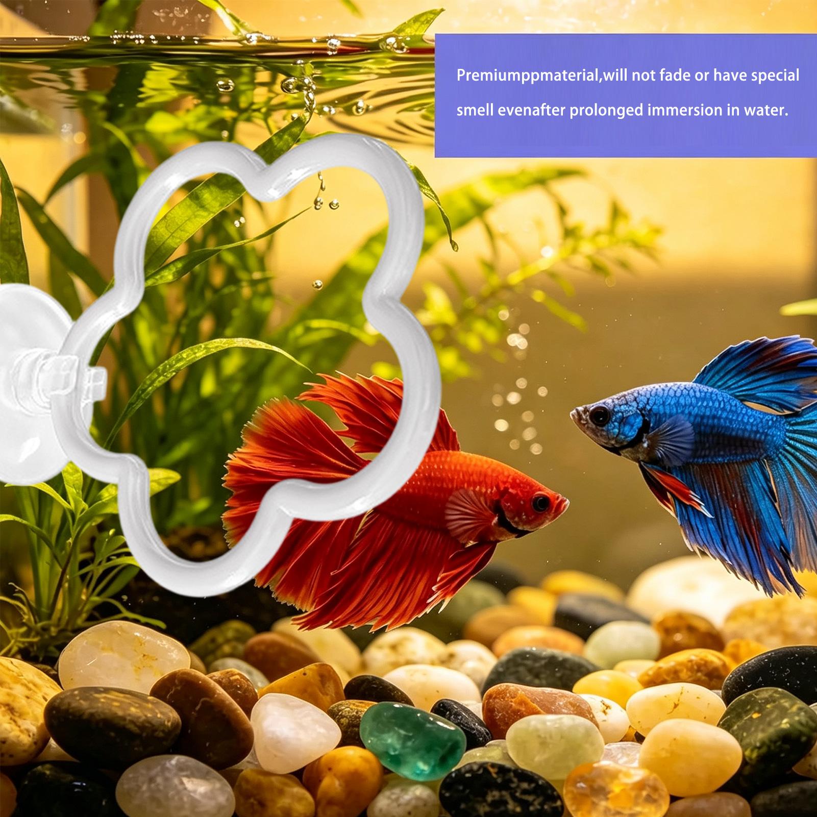 Aquarium Fish Betta - Jouets pour aquarium Betta, 5 pièces,