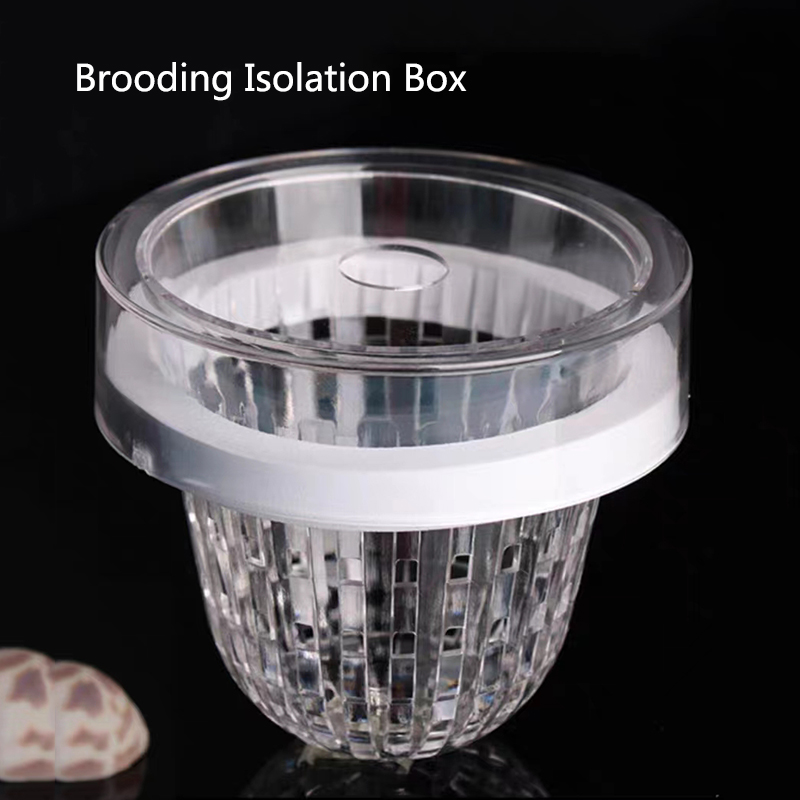 Aquarium Fish Feeder - Boîte d'isolation flottante en acrylique pour