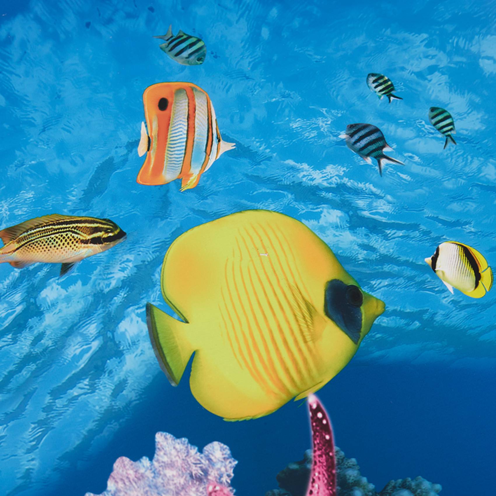 Fish In Aquarium Picture - BAAU Aquarium fond papier HD image