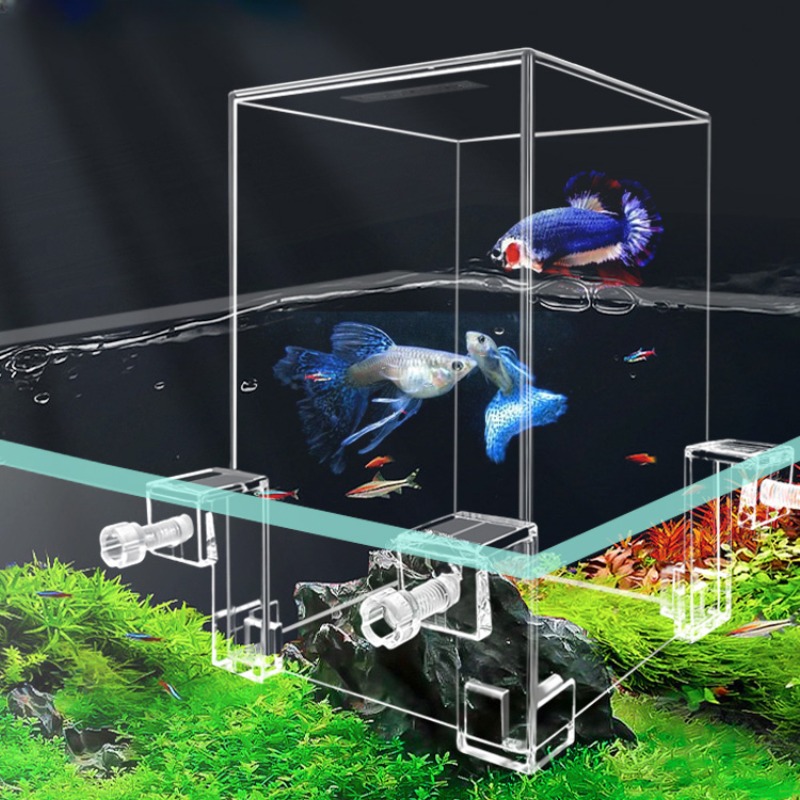 Aquarium Fish Pot - Aquarium à pression négative avec bol