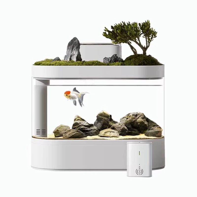 Aquarium Fish Feeder - Aquarium intelligent de bureau avec distributeur