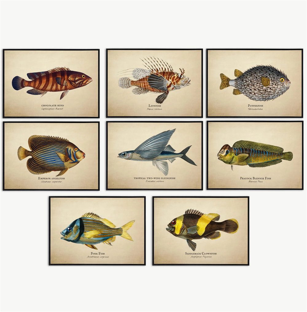 Fish In Aquarium Picture - Images Vintage poissons tropicaux méduses coquilles
