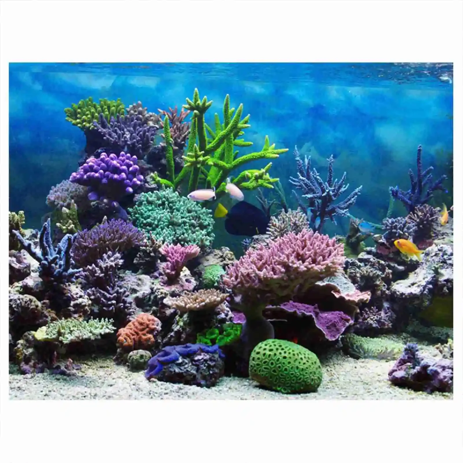 Aquarium Fish Wallpaper Hd - Affiche de paysage d'aquarium 3D, papier