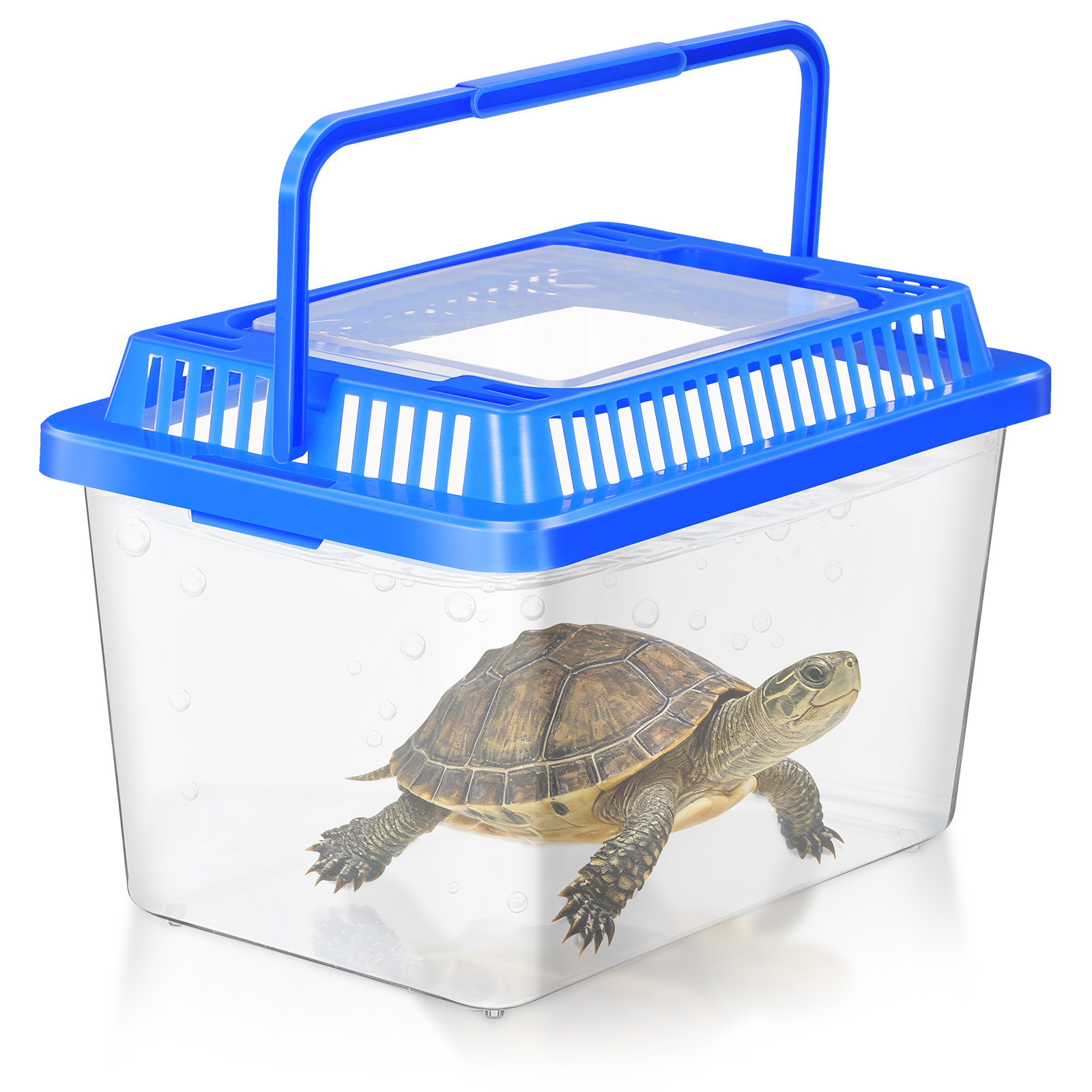 Aquarium Fish Betta - Mini aquarium portable transparent en plastique