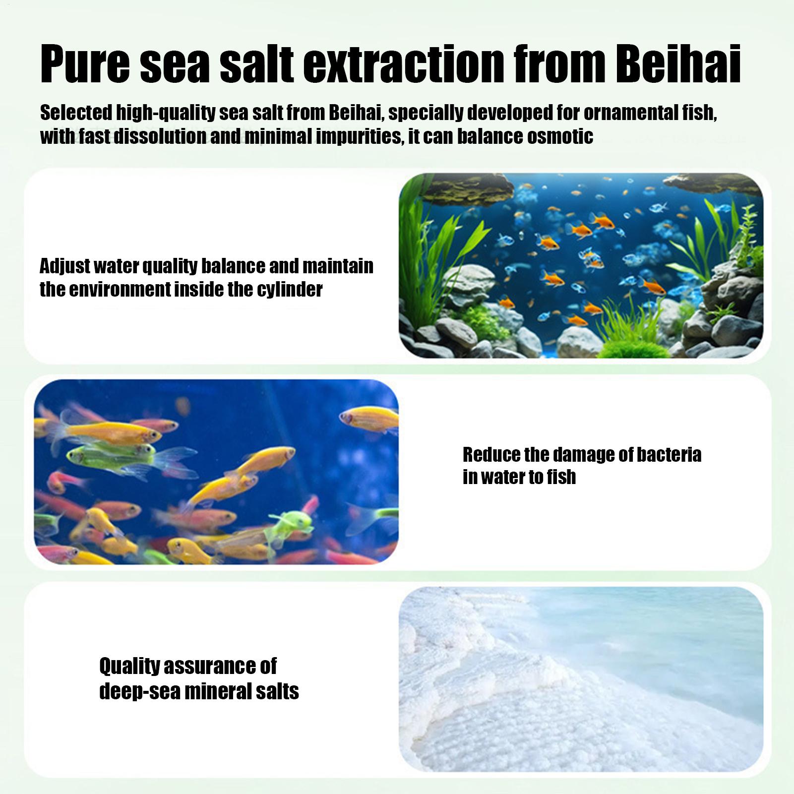Tablettes purifiantes pour aqu - Aquarium Fish Betta avis et prix