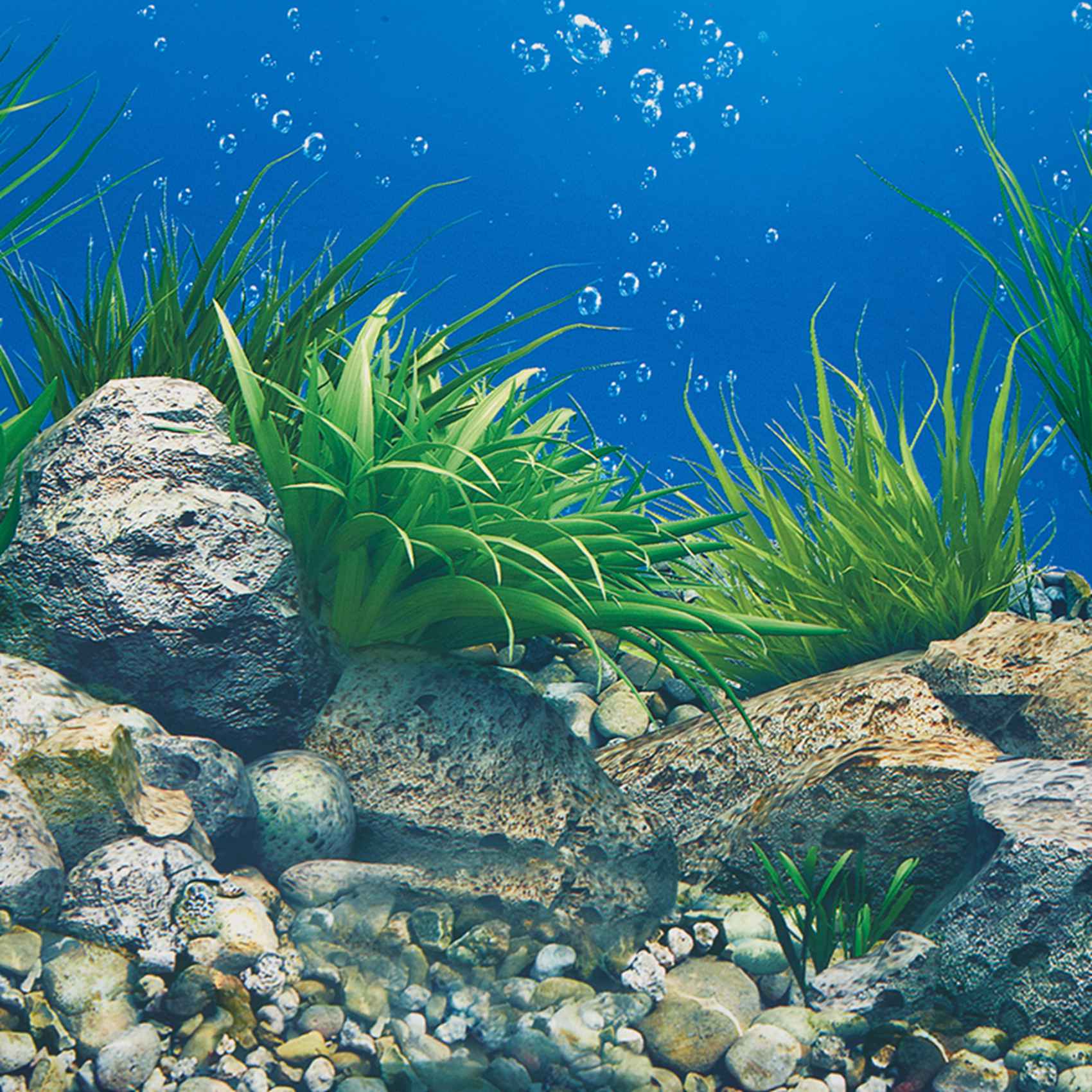 AB33-Aquarium fond papier HD i - Aquarium Fish Wallpaper Hd avis et prix