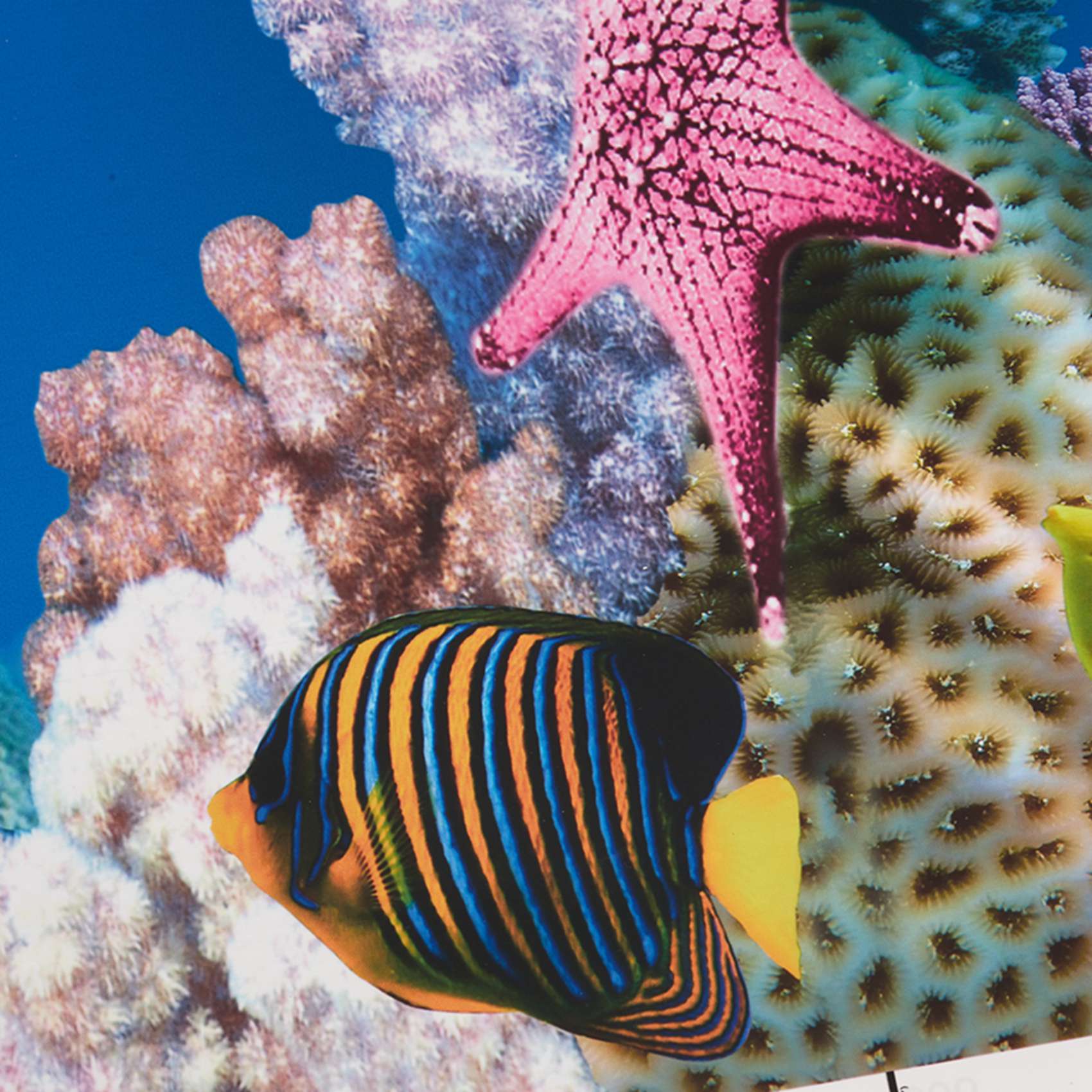 AB33-Aquarium fond papier HD i - Aquarium Fish Wallpaper Hd avis et prix