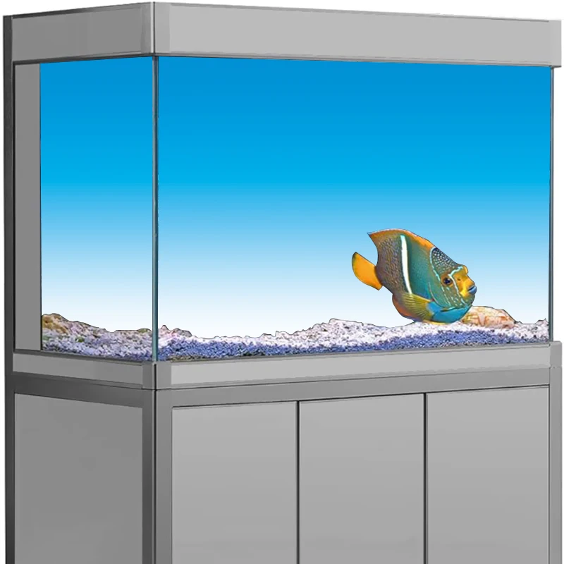 Autocollant de fond d'aquarium - Aquarium Fish Wallpaper Hd avis et prix