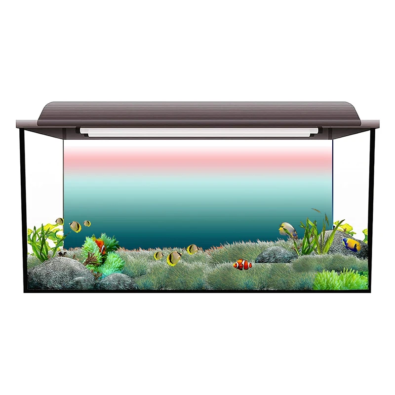 Autocollant de fond d'aquarium - Aquarium Fish Wallpaper Hd avis et prix