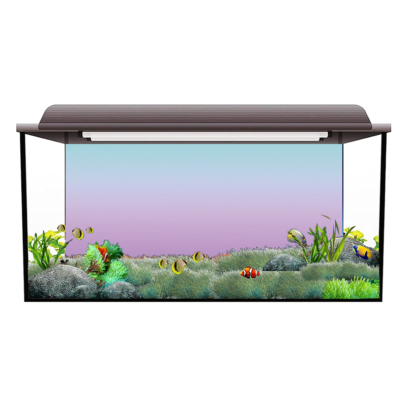 Autocollant de fond d'aquarium - Aquarium Fish Wallpaper Hd avis et prix