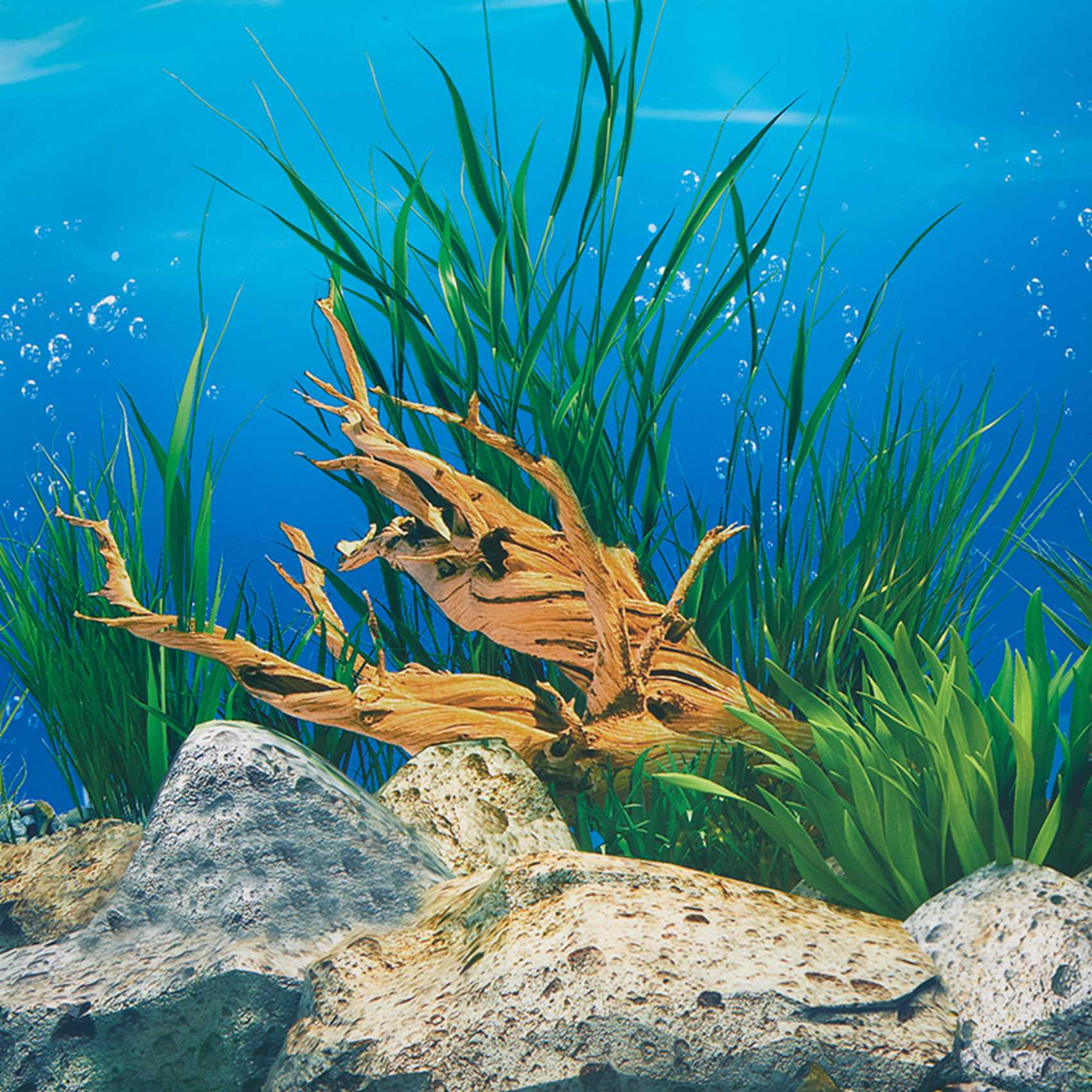 Papier de fond pour aquarium A - Fish In Aquarium Picture avis et prix