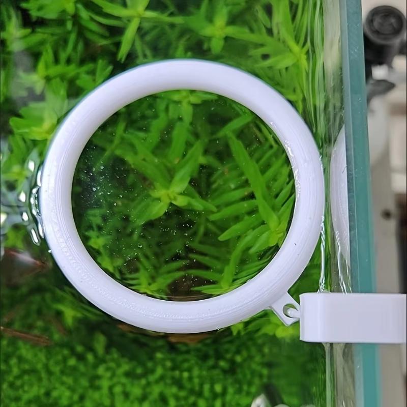 1 ensemble d'anneaux d'aliment - Aquarium Fish Feeder avis et prix