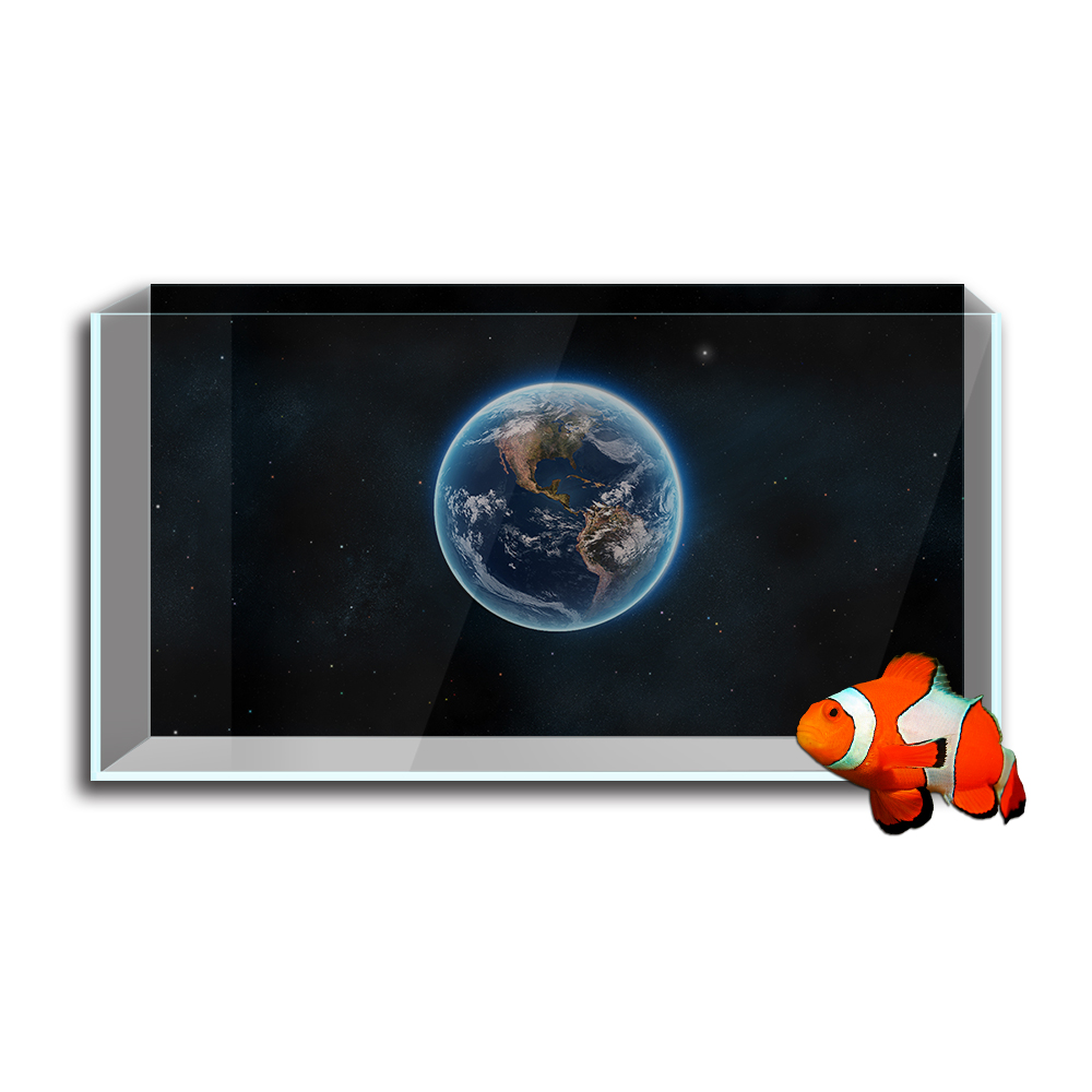 Autocollant de fond d'aquarium - Aquarium Fish Wallpaper Hd avis et prix