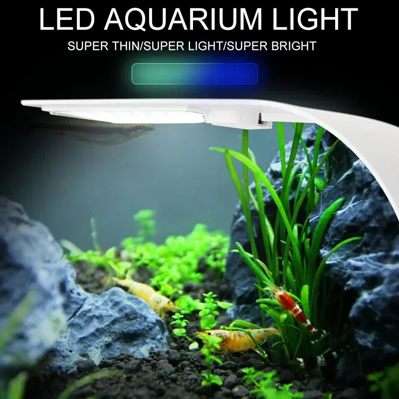 Lumière d'aquarium LED Ultra m - Fish In Aquarium Picture avis et prix
