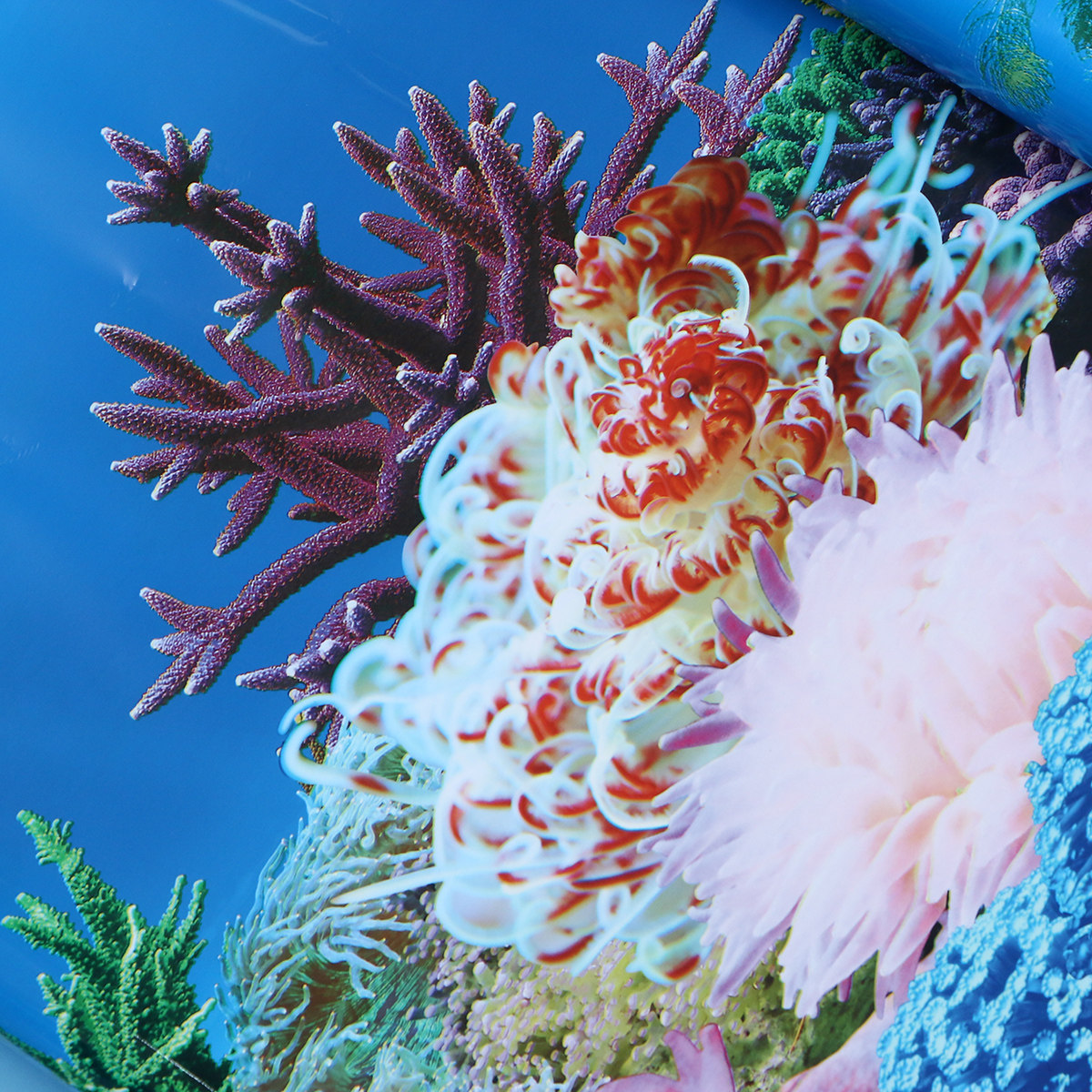 Fonds d'écran 3D pour aquarium - Fish In Aquarium Picture avis et prix
