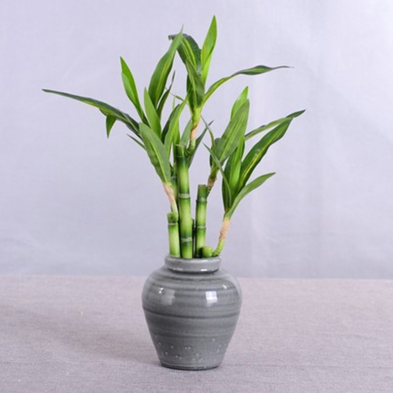 Nouveau 40cm rFtificial chance - Aquarium Fish Fishing avis et prix