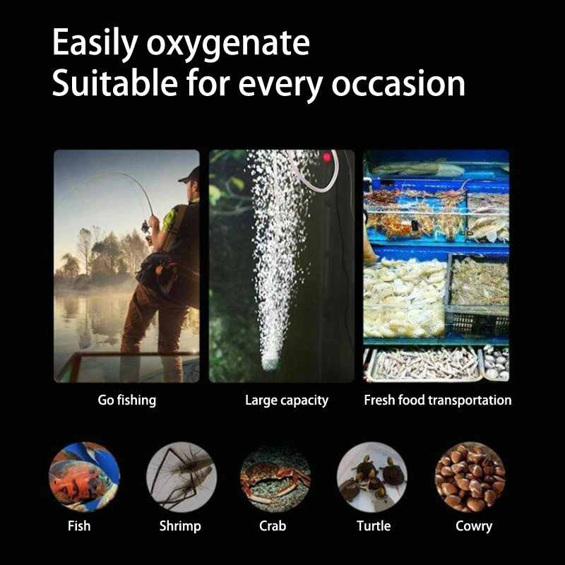 Kit de mini pompe à oxygène po - Aquarium Fish Fishing avis et prix