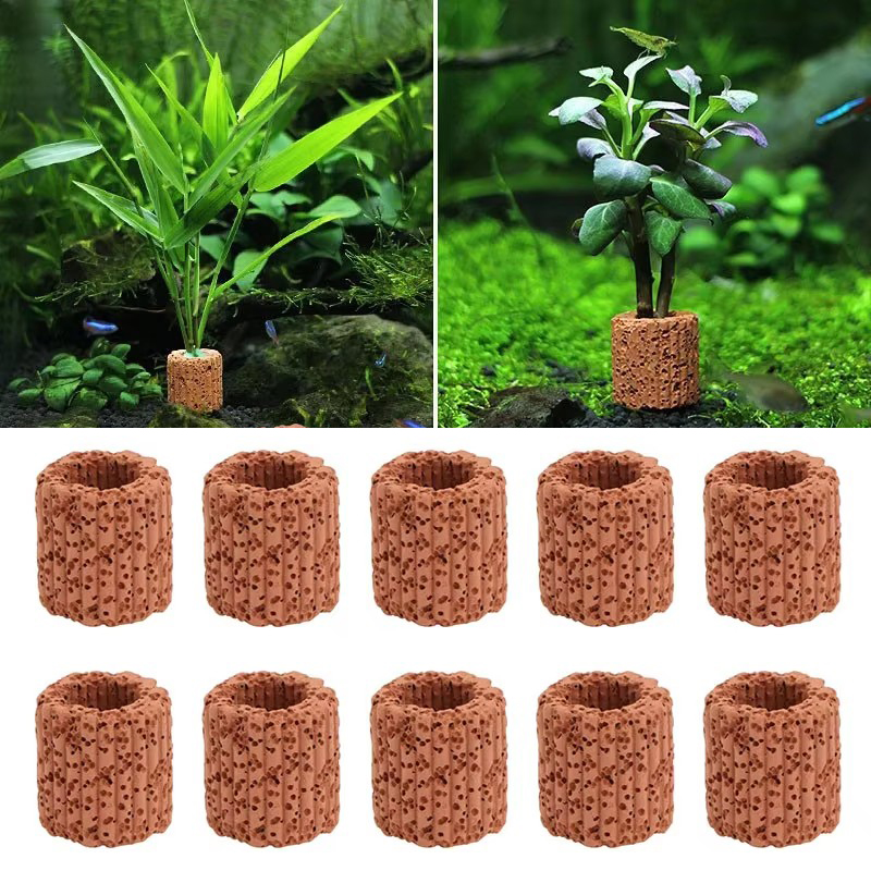 Anneau fixe pour plantes aquat - Aquarium Fish Pot avis et prix