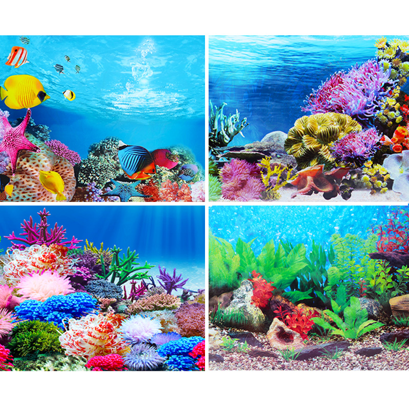 Autocollant de fond d'aquarium - Fish In Aquarium Picture avis et prix