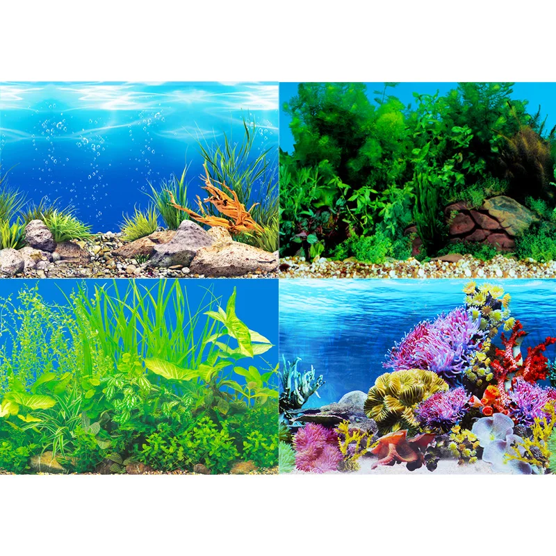 Autocollant de fond d'aquarium - Fish In Aquarium Picture avis et prix