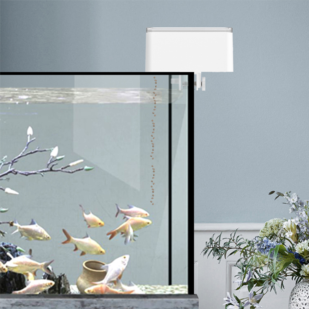 Mangeoire à poisson de grande  - Aquarium Fish Feeder avis et prix