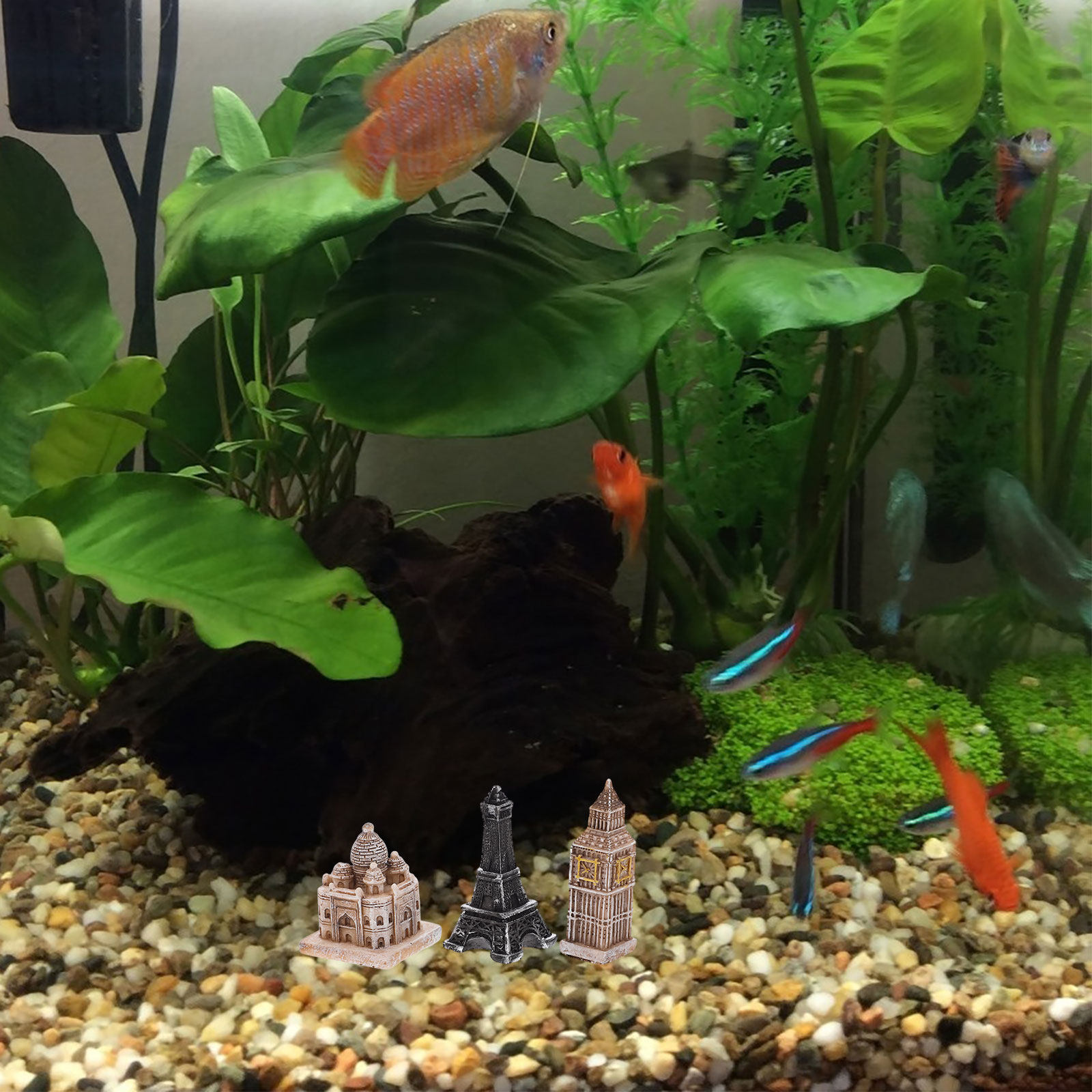 7 figurines miniatures romaine - Aquarium Fish Usa avis et prix
