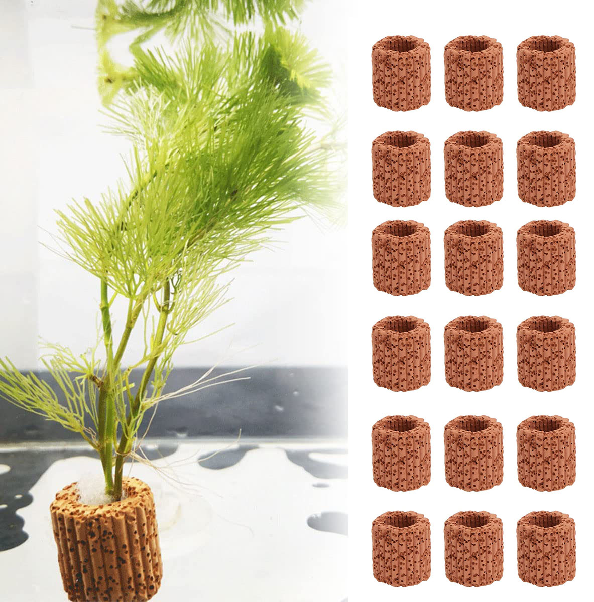 Anneau de Base pour Plantes Aq - Aquarium Fish Pot avis et prix