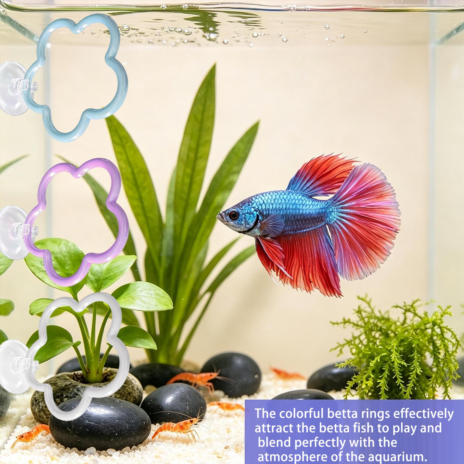 Jouets pour aquarium Betta, 5  - Aquarium Fish Betta avis et prix