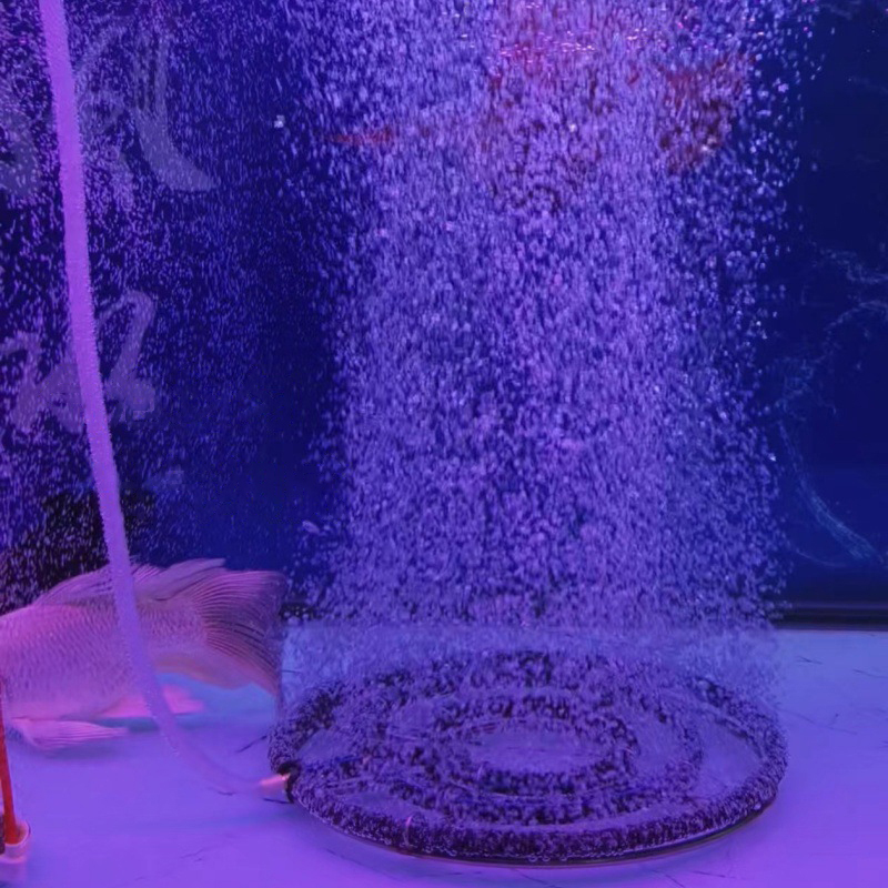 Disque d'aération nano en acie - Aquarium Fish Koi avis et prix