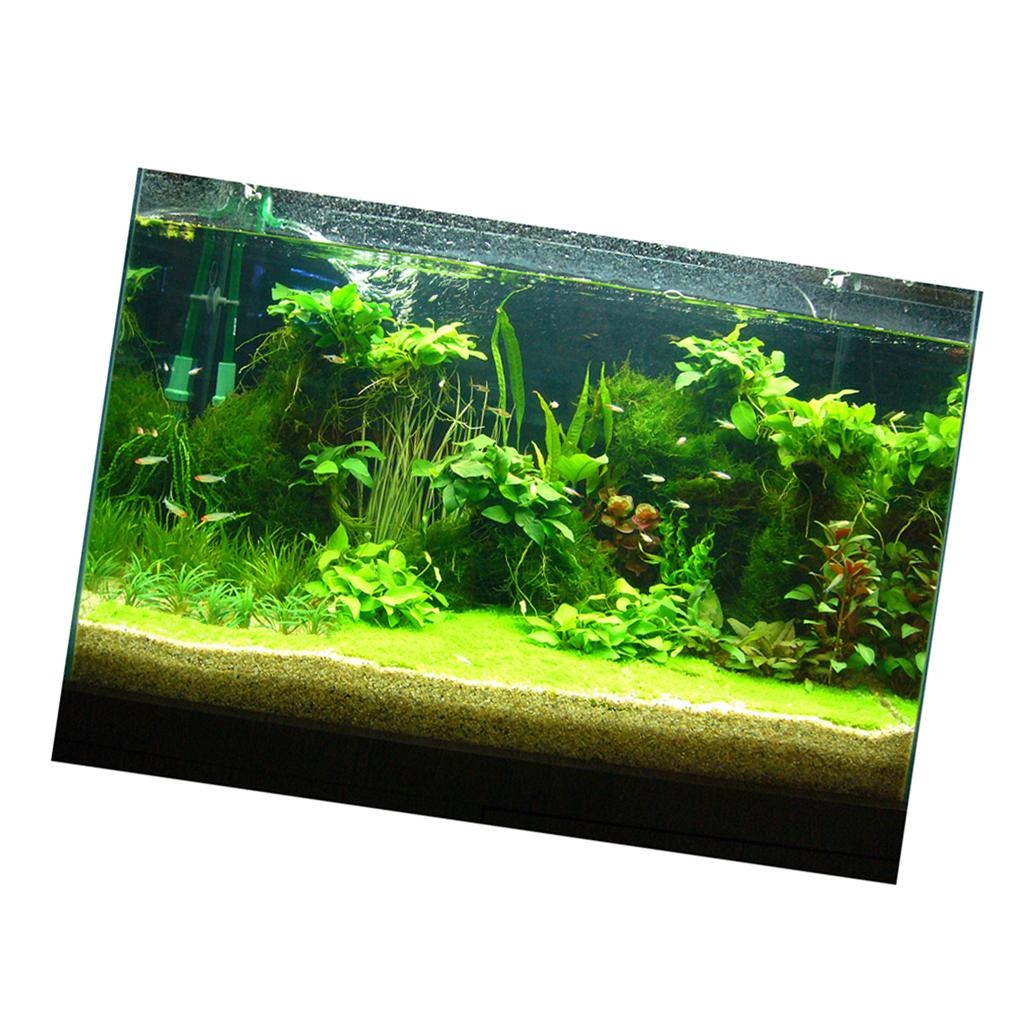 Autocollant de fond 3D pour aq - Fish In Aquarium Picture avis et prix