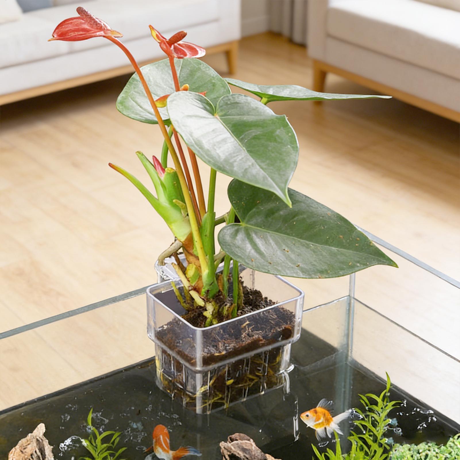 Panier pour plantes d'aquarium - Aquarium Fish Pot avis et prix