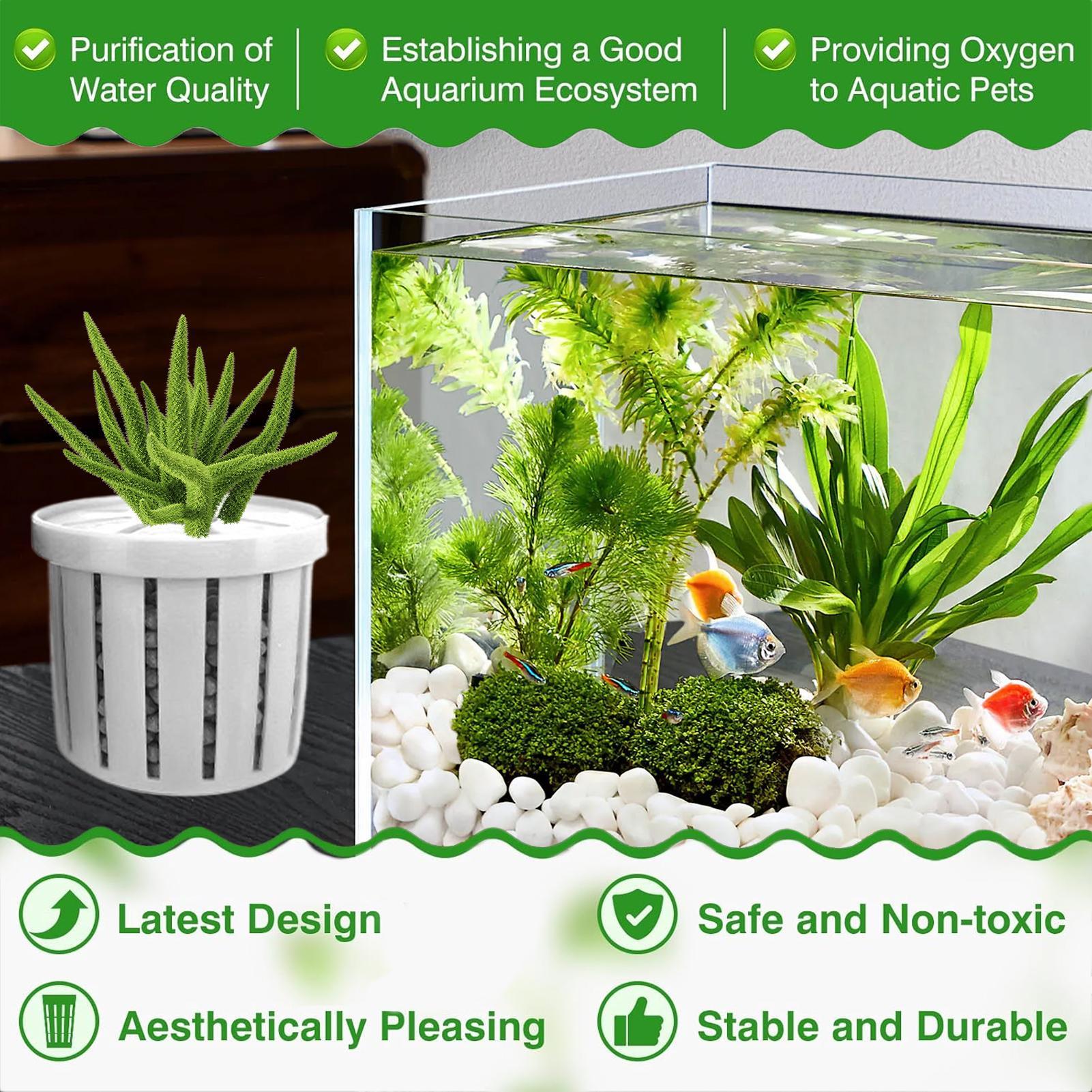 Pot de plantation pour aquariu - Aquarium Fish Pot avis et prix