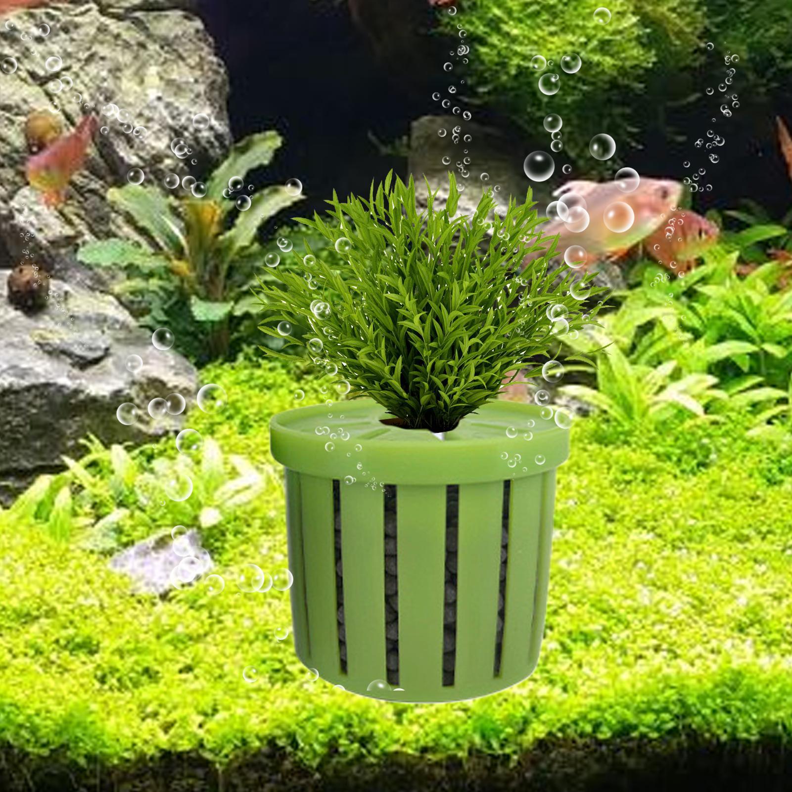 Pot de plantation pour aquariu - Aquarium Fish Pot avis et prix