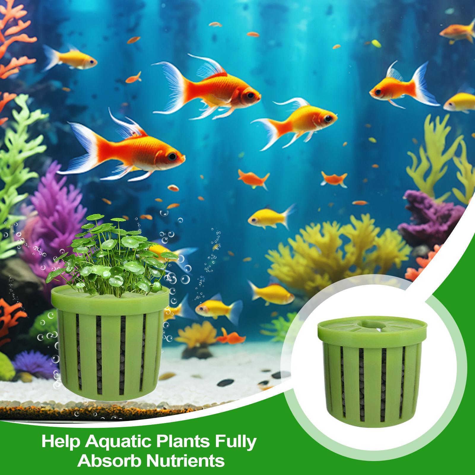 Pot de plantation pour aquariu - Aquarium Fish Pot avis et prix