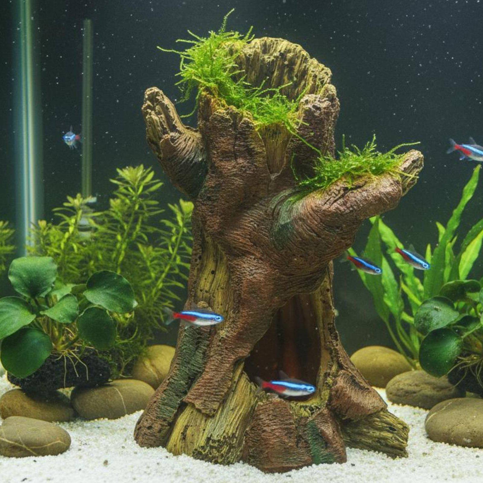 Décoration d'aquarium, décorat - Aquarium Fish Usa avis et prix