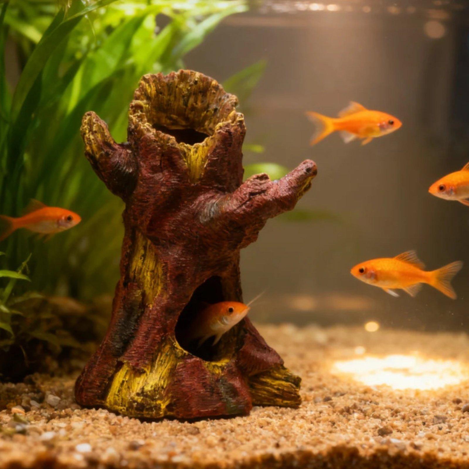 Décoration d'aquarium, décorat - Aquarium Fish Usa avis et prix