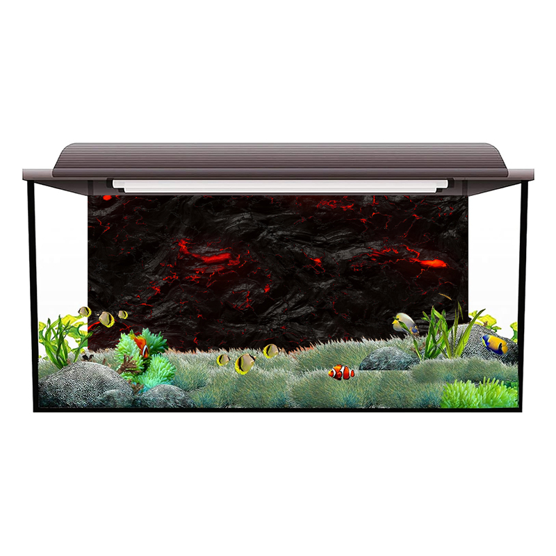 Autocollant de fond d'aquarium - Aquarium Fish Wallpaper Hd avis et prix