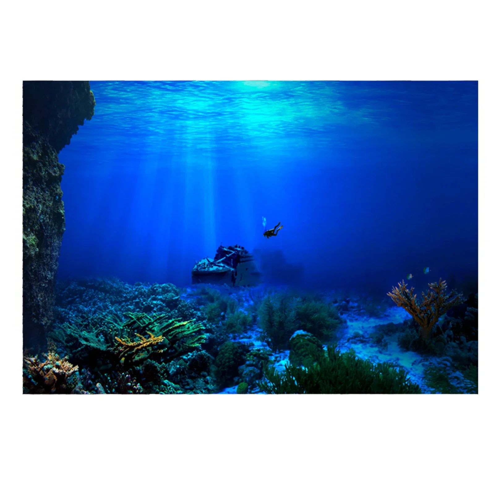 Affiche de fond d'aquarium de  - Fish In Aquarium Picture avis et prix