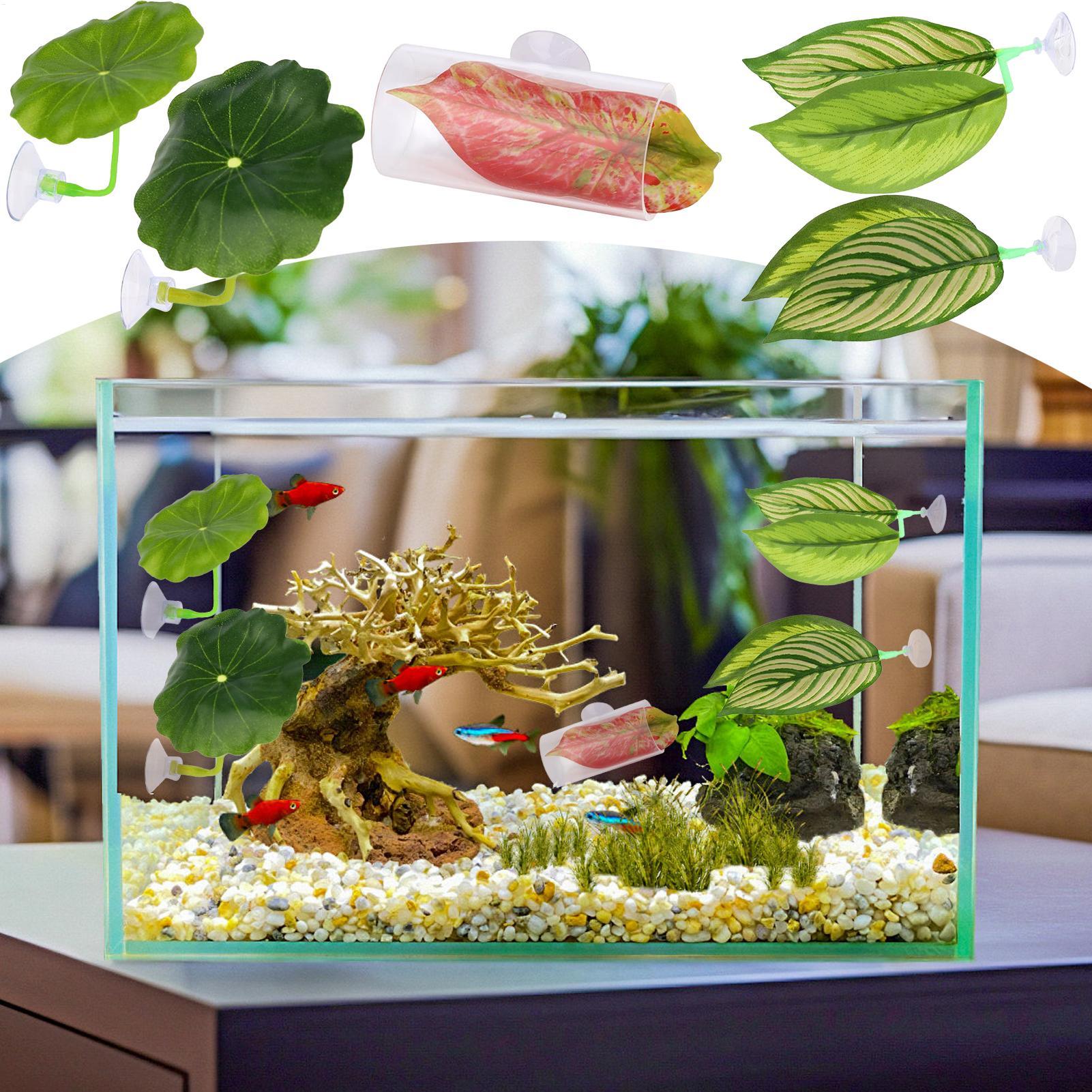 Hamac à poisson Betta 5 pièces - Aquarium Fish Betta avis et prix