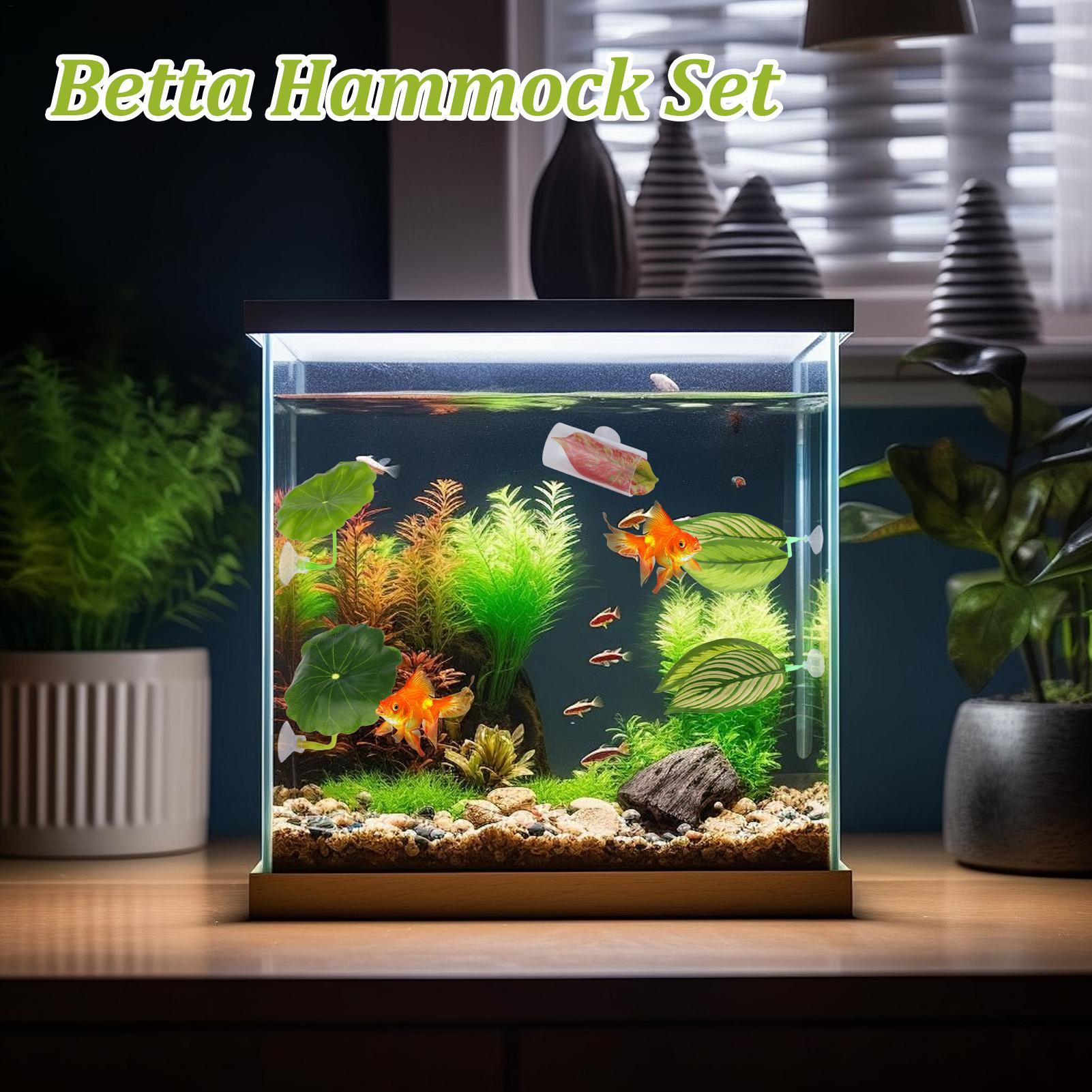 Hamac à poisson Betta 5 pièces - Aquarium Fish Betta avis et prix