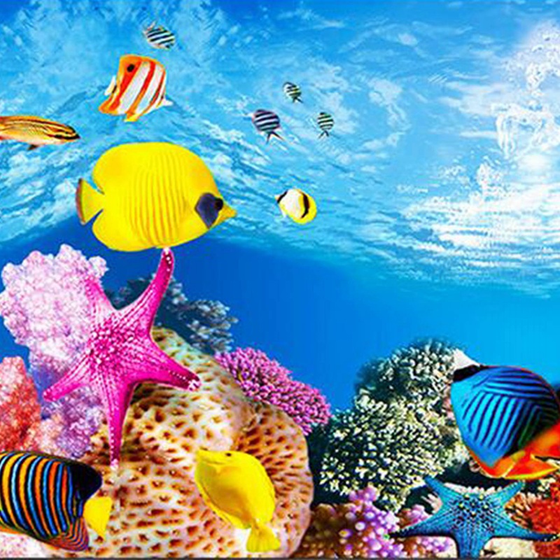BAAU Aquarium fond papier HD i - Fish In Aquarium Picture avis et prix