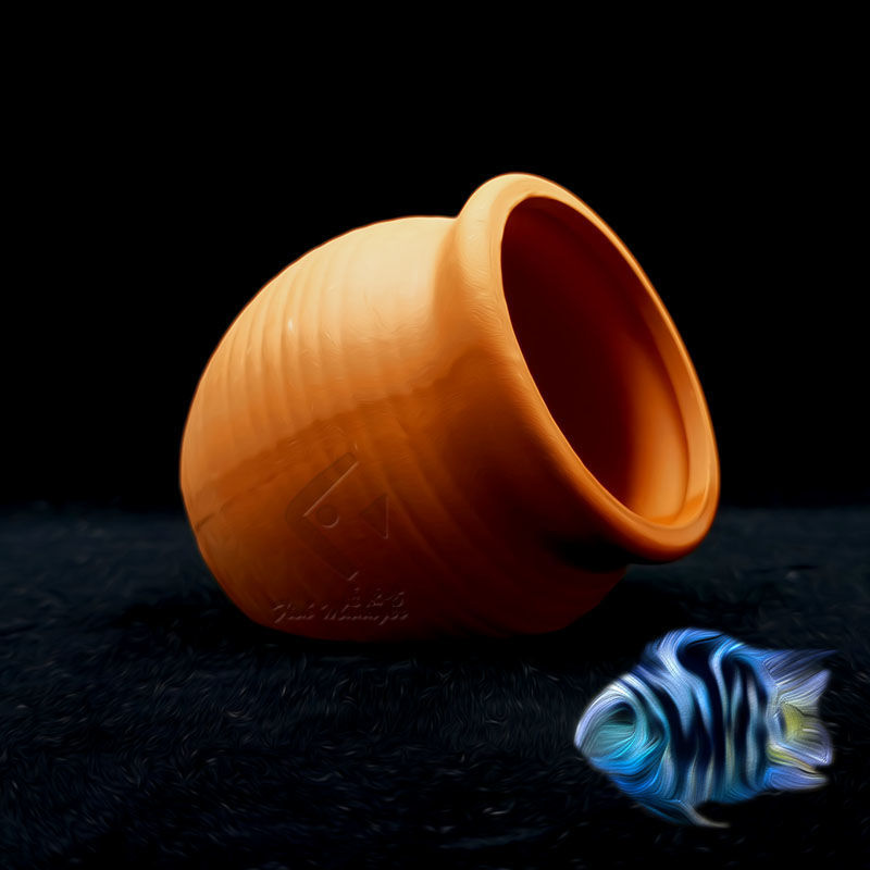 Aquarium Mini réservoir en cér - Aquarium Fish Pot avis et prix
