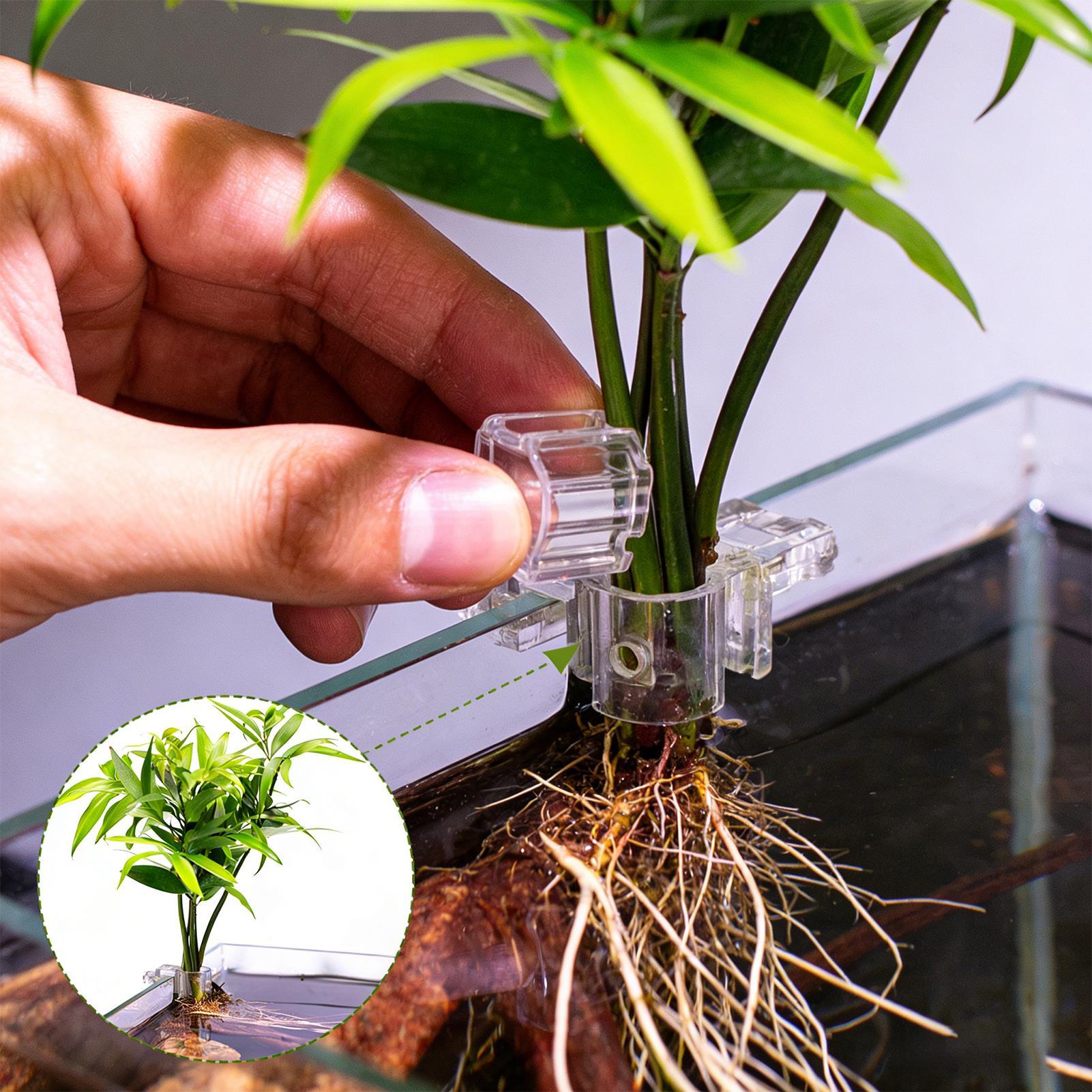 Mini pot de culture pour aquar - Aquarium Fish Feeder avis et prix