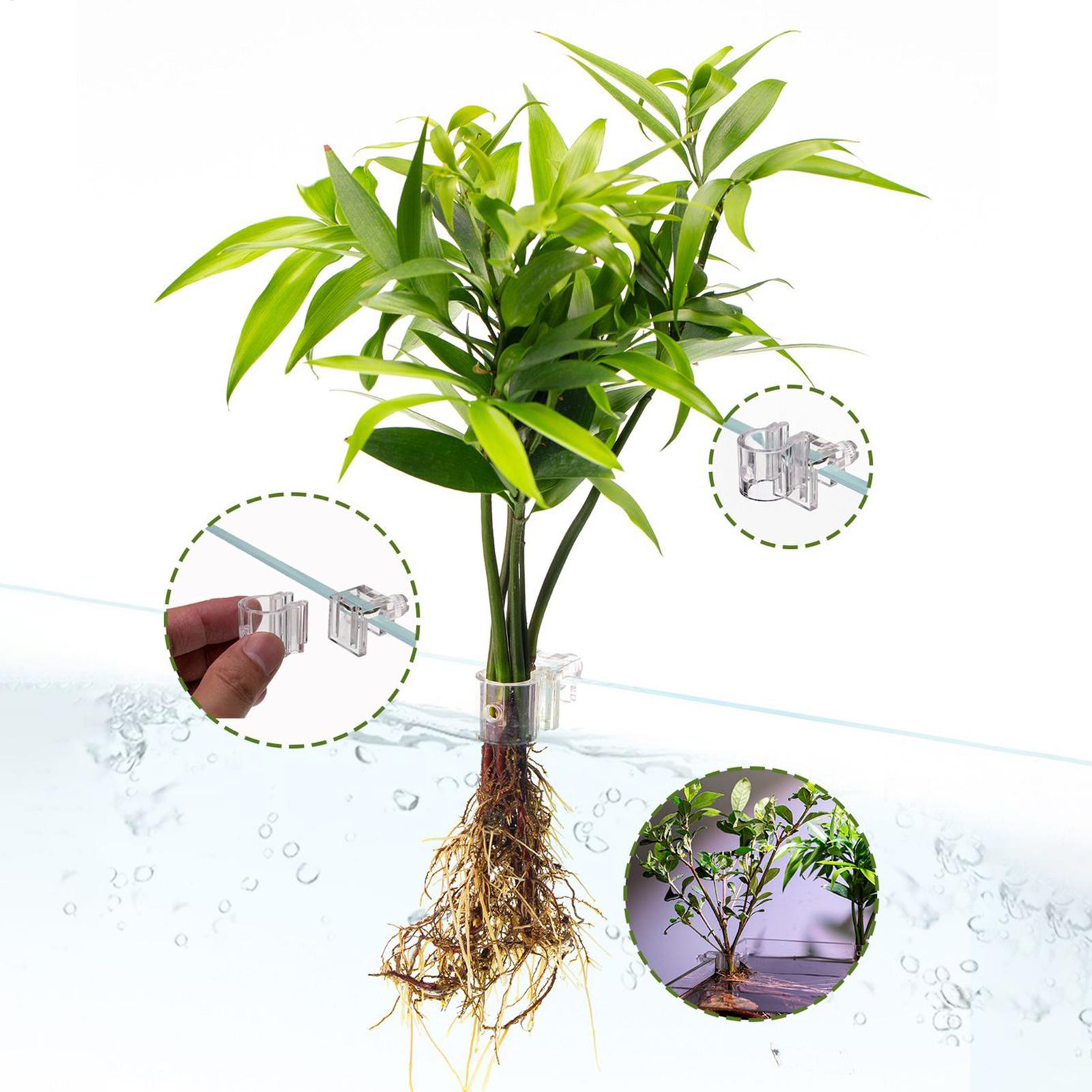 Mini pot de culture pour aquar - Aquarium Fish Feeder avis et prix