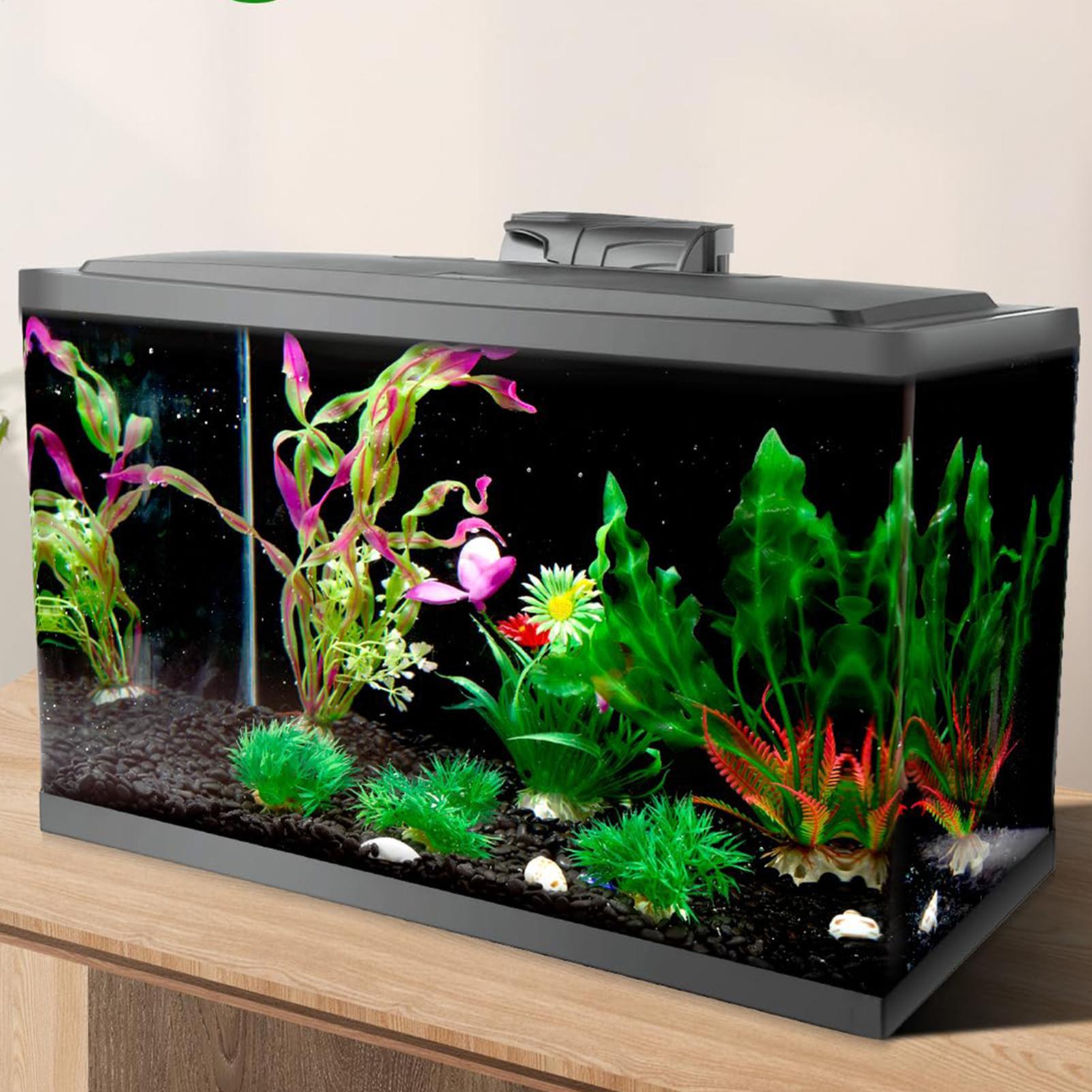 Fond d'écran noir pour aquariu - Fish In Aquarium Picture avis et prix