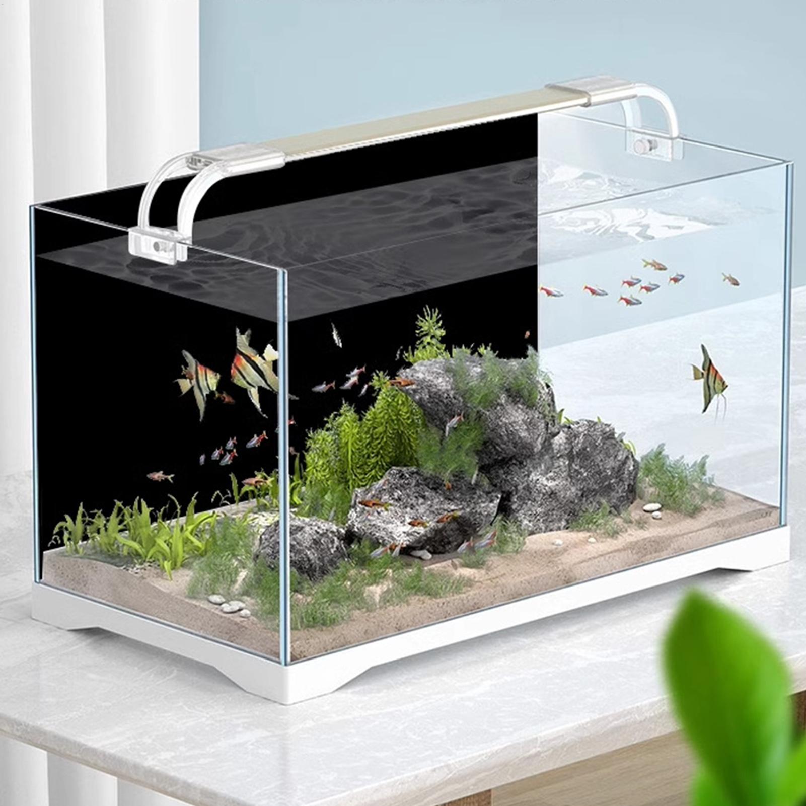 Fond d'écran noir pour aquariu - Fish In Aquarium Picture avis et prix