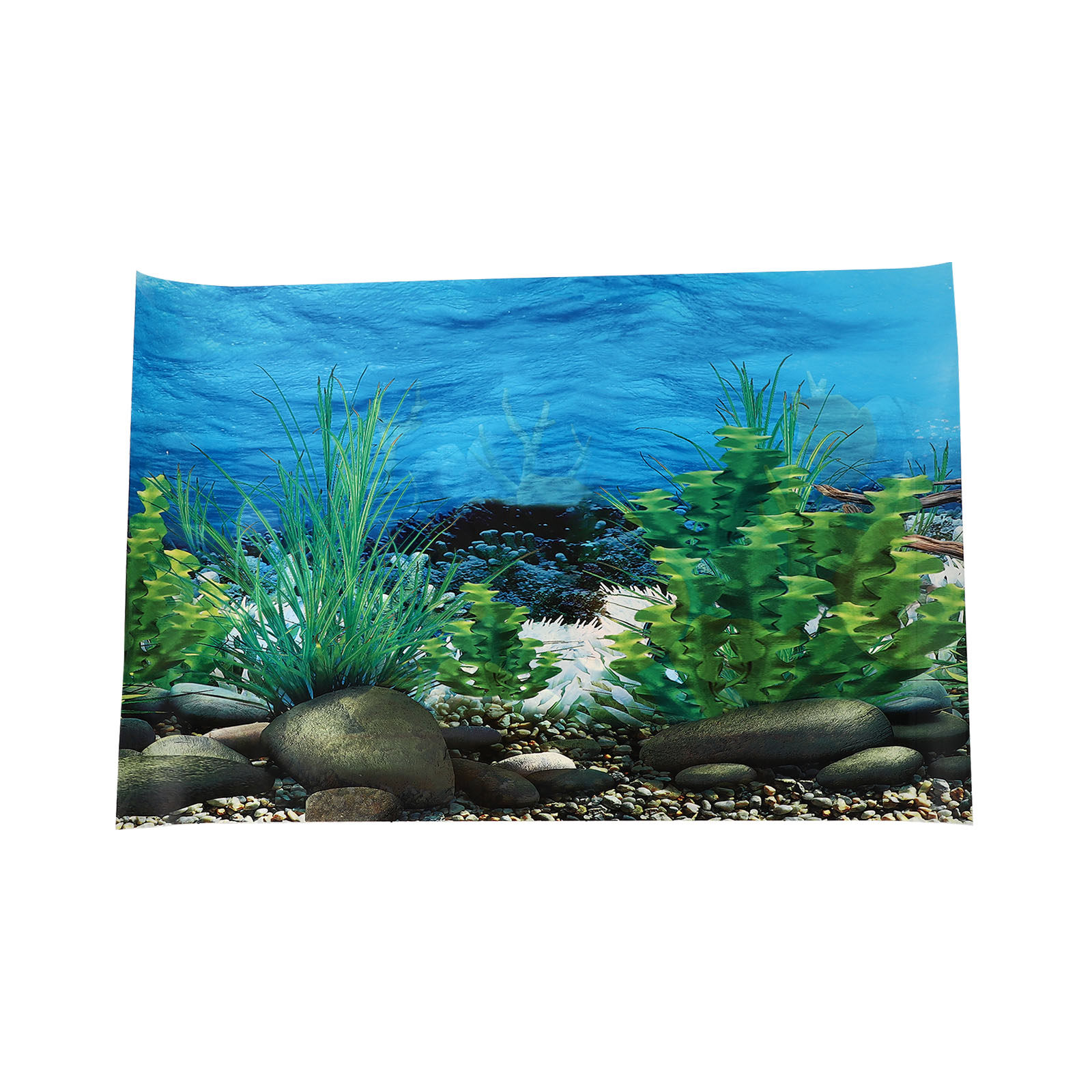 Papier de fond amovible noir p - Fish In Aquarium Picture avis et prix
